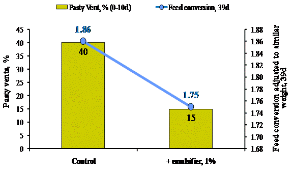 Effect of emulsifier on pasty vent and feed efficiency