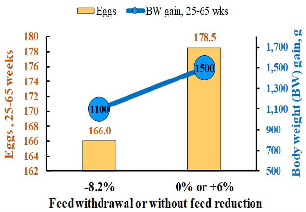 With or without feed withdrawal, eggs, body weight gain