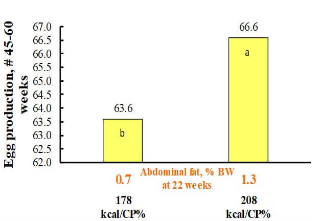 Dietary protein to energy ratios in rearing of egg persistence