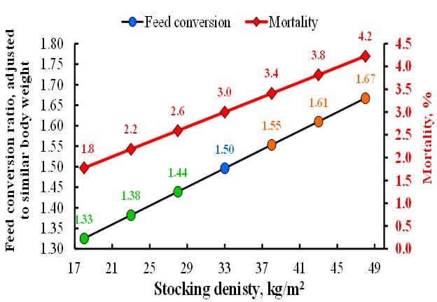 Stocking density on feed conversion and mortality